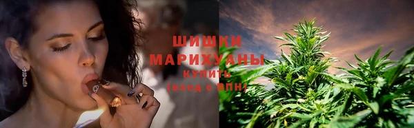 a pvp Ладушкин