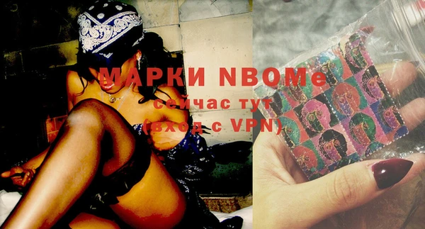крисы Козловка