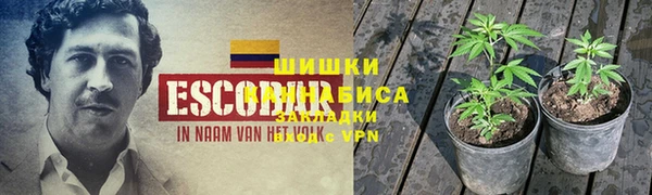 первитин Карпинск