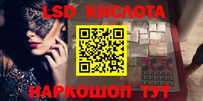 стаф Камышлов