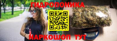 стаф Камышлов