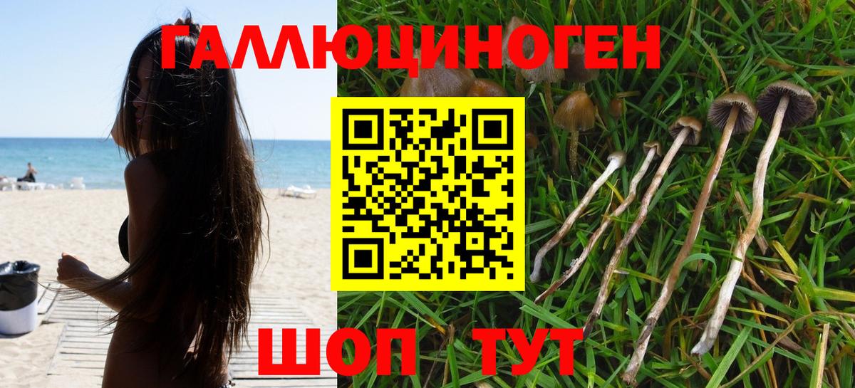 Строитель  Псилоцибиновые грибы мухоморы  Вход с VPN 