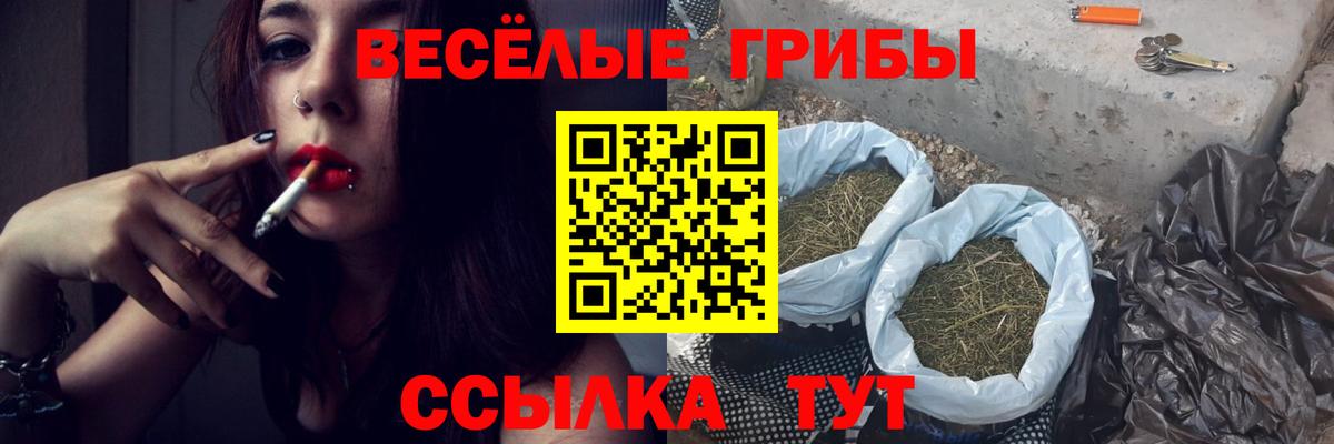 Псилоцибиновые грибы GOLDEN TEACHER Строитель