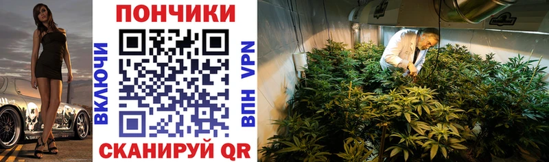 Шишки марихуана гибрид Строитель