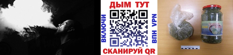 Конопля гибрид  Строитель 